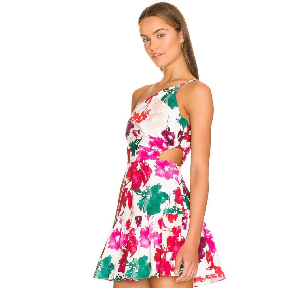 Milly One Shoulder Brinlee Watercolor Silhouette Cutout Dress